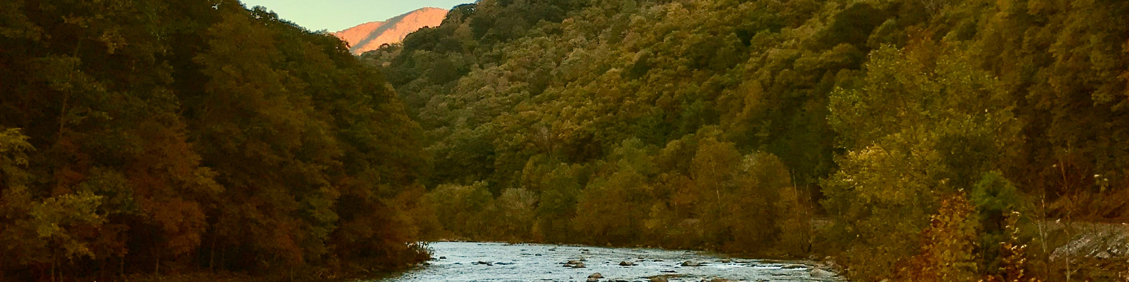 A scenic landscape photograph of a river flowing through a dense, forested valley during late afternoon or early evening, with warm sunlight illuminating the trees and a distant mountain peak.
